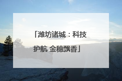 潍坊诸城：科技护航 金穗飘香