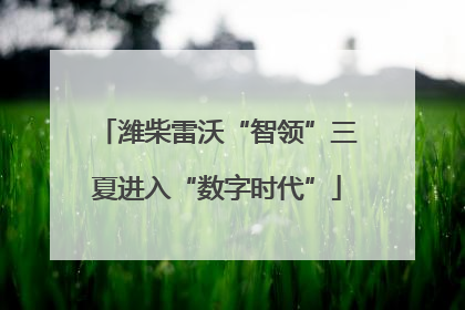 潍柴雷沃“智领”三夏进入“数字时代”