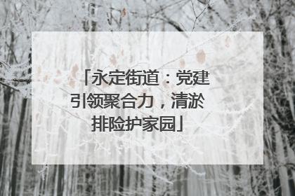 永定街道：党建引领聚合力，清淤排险护家园