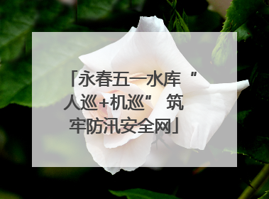 永春五一水库“人巡+机巡” 筑牢防汛安全网