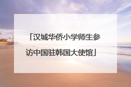 汉城华侨小学师生参访中国驻韩国大使馆