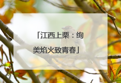 江西上栗：绚美焰火致青春
