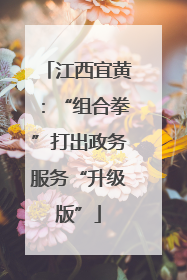 江西宜黄：“组合拳”打出政务服务“升级版”