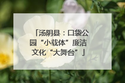 汤阴县：口袋公园“小载体”廉洁文化“大舞台”