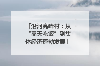 沿河高峰村：从“靠天吃饭”到集体经济蓬勃发展