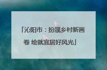 沁阳市：扮靓乡村新画卷 绘就宜居好风光