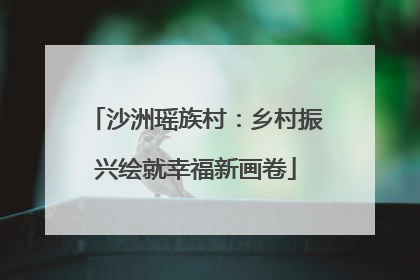 沙洲瑶族村：乡村振兴绘就幸福新画卷