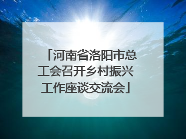 河南省洛阳市总工会召开乡村振兴工作座谈交流会