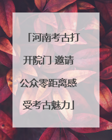 河南考古打开院门 邀请公众零距离感受考古魅力