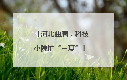 河北曲周：科技小院忙“三夏”