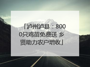泸州泸县：8000只鸡苗免费送 乡贤助力农户增收