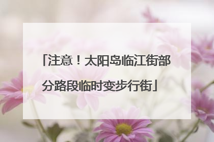 注意！太阳岛临江街部分路段临时变步行街