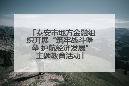 泰安市地方金融组织开展“筑牢战斗堡垒 护航经济发展”主题教育活动