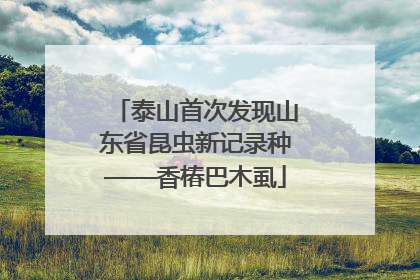 泰山首次发现山东省昆虫新记录种——香椿巴木虱