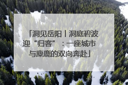 洞见岳阳丨洞庭碧波迎“归客”：一座城市与麋鹿的双向奔赴