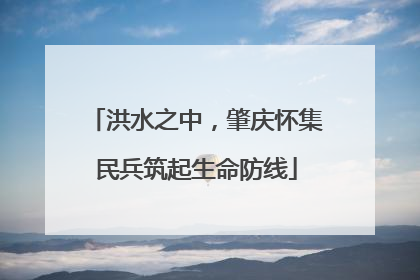 洪水之中，肇庆怀集民兵筑起生命防线