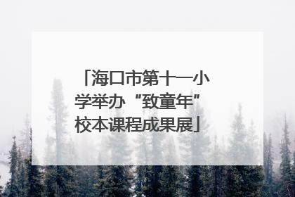 海口市第十一小学举办“致童年”校本课程成果展