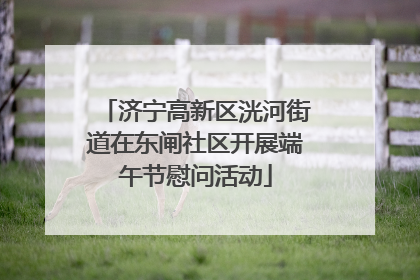 济宁高新区洸河街道在东闸社区开展端午节慰问活动