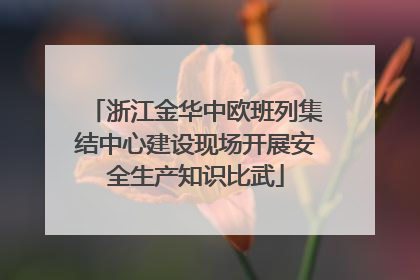 浙江金华中欧班列集结中心建设现场开展安全生产知识比武