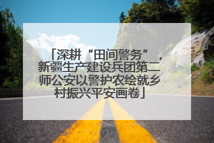 深耕“田间警务”，新疆生产建设兵团第二师公安以警护农绘就乡村振兴平安画卷