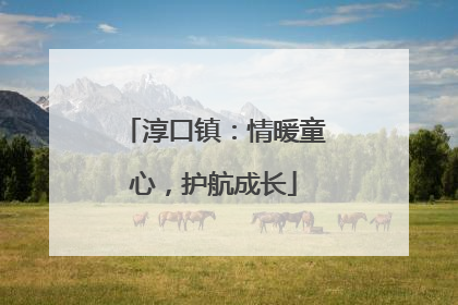 淳口镇：情暖童心，护航成长