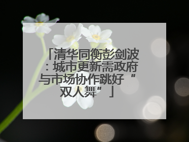 清华同衡彭剑波：城市更新需政府与市场协作跳好“双人舞”