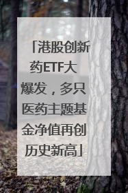 港股创新药ETF大爆发，多只医药主题基金净值再创历史新高