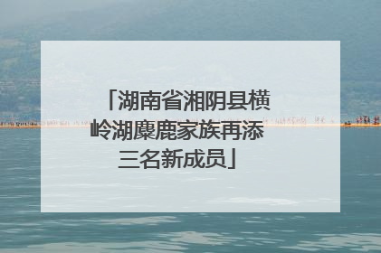 湖南省湘阴县横岭湖麋鹿家族再添三名新成员