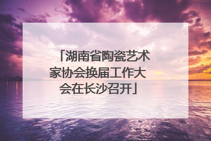 湖南省陶瓷艺术家协会换届工作大会在长沙召开