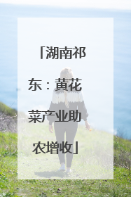 湖南祁东：黄花菜产业助农增收