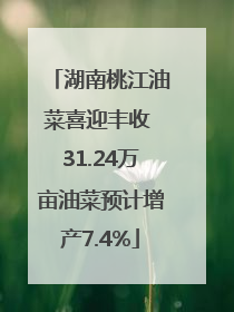 湖南桃江油菜喜迎丰收 31.24万亩油菜预计增产7.4%