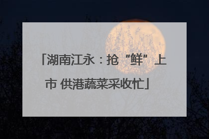 湖南江永：抢“鲜”上市 供港蔬菜采收忙