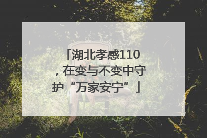 湖北孝感110，在变与不变中守护“万家安宁”