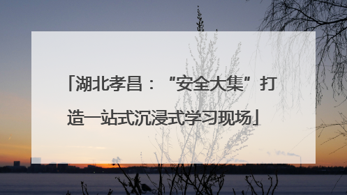 湖北孝昌：“安全大集”打造一站式沉浸式学习现场