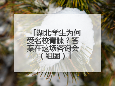 湖北学生为何受名校青睐？答案在这场咨询会（组图）