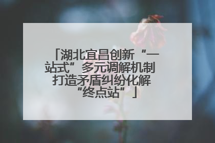 湖北宜昌创新“一站式”多元调解机制 打造矛盾纠纷化解“终点站”