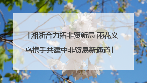 湘浙合力拓非贸新局 雨花义乌携手共建中非贸易新通道