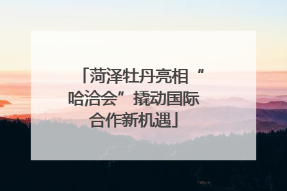 菏泽牡丹亮相“哈洽会”撬动国际合作新机遇