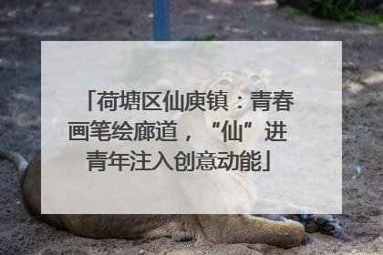 荷塘区仙庾镇：青春画笔绘廊道，“仙”进青年注入创意动能