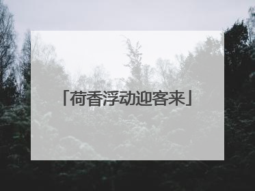 荷香浮动迎客来