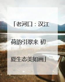 老河口：汉江荷韵引翠来 初夏生态美如画