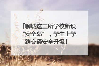 聊城这三所学校新设“安全岛”，学生上学路交通安全升级