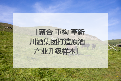 聚合 重构 革新 川酒集团打造原酒产业升级样本