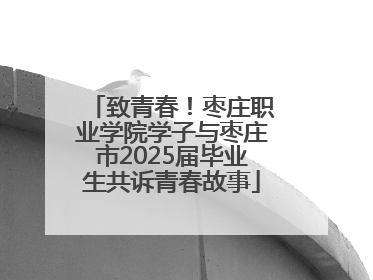 致青春！枣庄职业学院学子与枣庄市2025届毕业生共诉青春故事