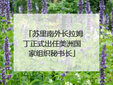 苏里南外长拉姆丁正式出任美洲国家组织秘书长