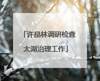 许昆林调研检查太湖治理工作