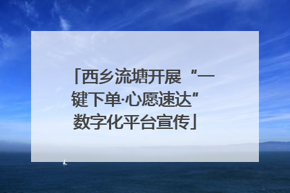 西乡流塘开展“一键下单·心愿速达”数字化平台宣传