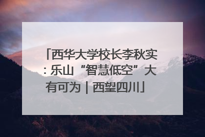 西华大学校长李秋实：乐山“智慧低空”大有可为｜西望四川