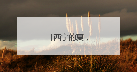 西宁的夏，大约在冬季
