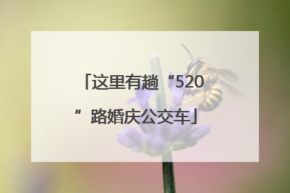 这里有趟“520”路婚庆公交车